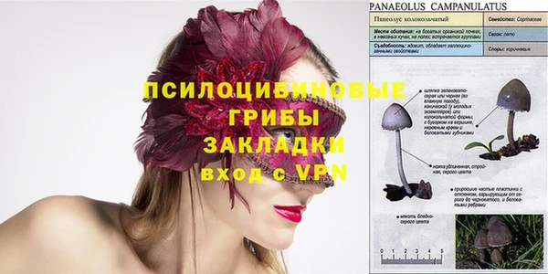 меф Пролетарск