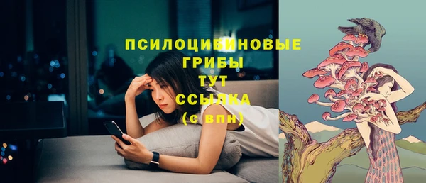 не бодяженный Протвино