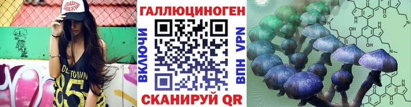 Купить где  Черняховск  Галлюциногенные грибы мицелий 