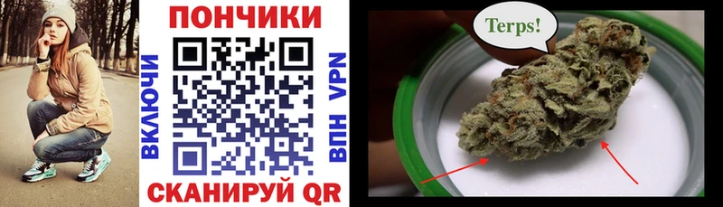 Купить Черняховск Каннабис Ganja